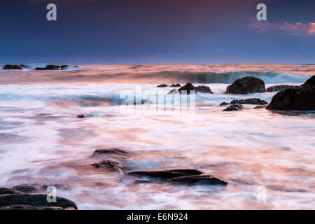 Felsenküste am Ayrmer Cove in South Hams, South Devon, England, Vereinigtes Königreich, Europa. Stockfoto