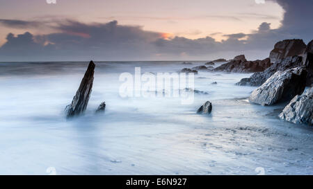 Felsenküste am Ayrmer Cove in South Hams, South Devon, England, Vereinigtes Königreich, Europa. Stockfoto