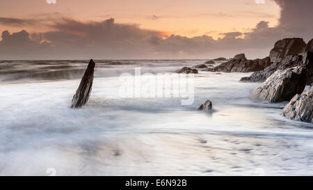 Felsenküste am Ayrmer Cove in South Hams, South Devon, England, Vereinigtes Königreich, Europa. Stockfoto