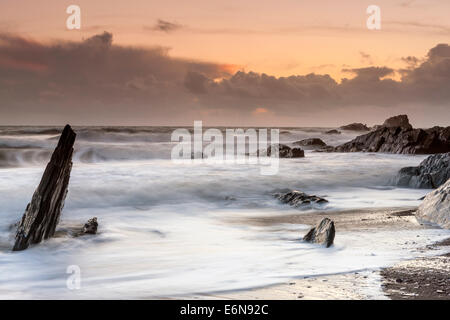 Felsenküste am Ayrmer Cove in South Hams, South Devon, England, Vereinigtes Königreich, Europa. Stockfoto