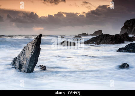 Felsenküste am Ayrmer Cove in South Hams, South Devon, England, Vereinigtes Königreich, Europa. Stockfoto