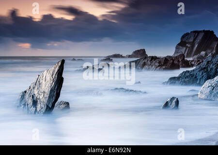 Felsenküste am Ayrmer Cove in South Hams, South Devon, England, Vereinigtes Königreich, Europa. Stockfoto