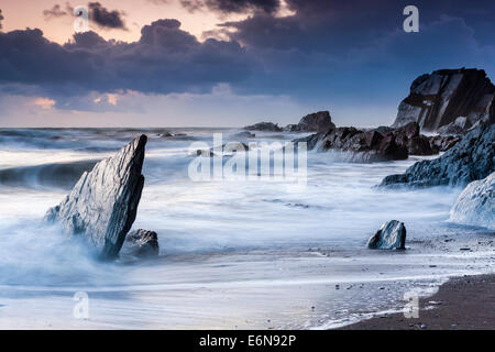 Felsenküste am Ayrmer Cove in South Hams, South Devon, England, Vereinigtes Königreich, Europa. Stockfoto