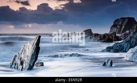 Felsenküste am Ayrmer Cove in South Hams, South Devon, England, Vereinigtes Königreich, Europa. Stockfoto