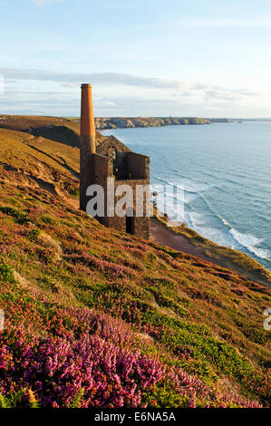 Das alte Maschinenhaus an der stillgelegten Towanroath Tin MIne in der Nähe von Extrameldung in Cornwall, Großbritannien Stockfoto