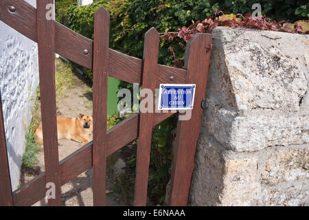 "Aufmerksamkeit au Chien" - französische "beware of the Dog" Tor mit Hund sichtbar durch Tor anmelden Stockfoto