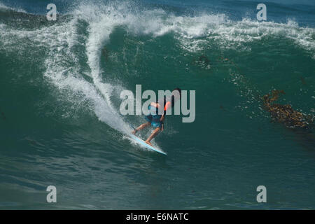 Laguna Beach, Kalifornien, USA. 27. August 2014. Surfer genießen Sie die riesige Brandung bei Brooks Street in Laguna Beach California Kredit: Duncan Selby/Alamy Live News Stockfoto