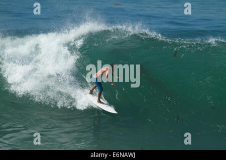 Laguna Beach, Kalifornien, USA. 27. August 2014. Surfer genießen Sie die riesige Brandung bei Brooks Street in Laguna Beach California Kredit: Duncan Selby/Alamy Live News Stockfoto