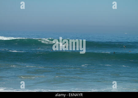 Laguna Beach, Kalifornien, USA. 27. August 2014. Surfer genießen Sie die riesige Brandung bei Brooks Street in Laguna Beach California Kredit: Duncan Selby/Alamy Live News Stockfoto