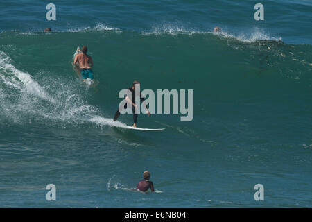 Laguna Beach, Kalifornien, USA. 27. August 2014. Surfer genießen Sie die riesige Brandung bei Brooks Street in Laguna Beach California Kredit: Duncan Selby/Alamy Live News Stockfoto