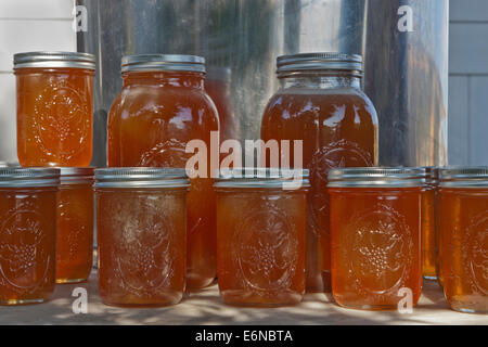 Honig in Pint & 2 Quart Gläser. Stockfoto
