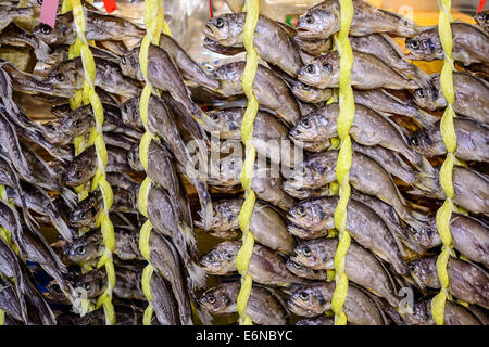 getrockneter Fisch am Gwangjang Markt in Seoul, Südkorea Stockfoto