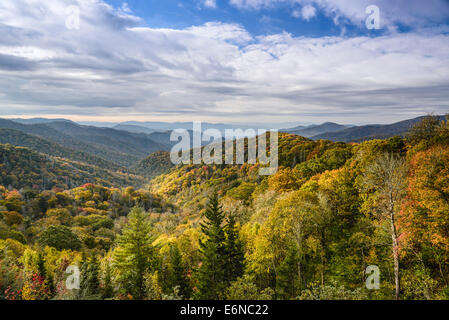 Smoky Mountains in Tennessee, USA. Stockfoto