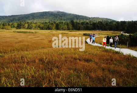 Wuchang, Chinas Provinz Heilongjiang. 27. August 2014. Touristen besuchen ein Reisfeld auf die Gaoshan Feuchtgebiet in der Fenghuang Berg in Wuchang, Nordost-China Provinz Heilongjiang, 27. August 2014. Die Gaoshan Feuchtgebiet in der Fenghuang-Berg, der auf einer Höhe von 1.500 Metern gefunden hat, ist das höchste Feuchtgebiet in der Provinz Heilongjiang. © Wang Jianwei/Xinhua/Alamy Live-Nachrichten Stockfoto