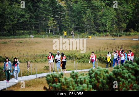 Wuchang, Chinas Provinz Heilongjiang. 27. August 2014. Touristen besuchen ein Reisfeld auf die Gaoshan Feuchtgebiet in der Fenghuang Berg in Wuchang, Nordost-China Provinz Heilongjiang, 27. August 2014. Die Gaoshan Feuchtgebiet in der Fenghuang-Berg, der auf einer Höhe von 1.500 Metern gefunden hat, ist das höchste Feuchtgebiet in der Provinz Heilongjiang. © Wang Jianwei/Xinhua/Alamy Live-Nachrichten Stockfoto