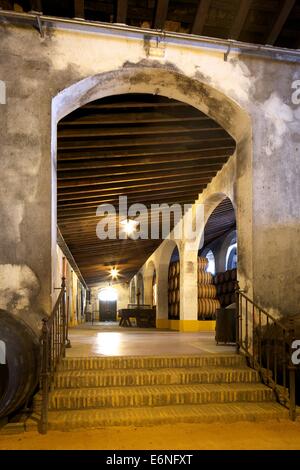 Bodegas Lustau, Jerez De La Frontera, Provinz Cadiz, Andalusien, Spanien, Süd-West-Europa Stockfoto