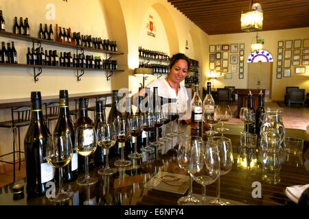 Sherry Tasting, Bodegas Lustau, Jerez De La Frontera, Provinz Cadiz, Andalusien, Spanien, Süd-West-Europa Stockfoto