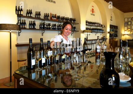 Sherry Tasting, Bodegas Lustau, Jerez De La Frontera, Provinz Cadiz, Andalusien, Spanien, Süd-West-Europa Stockfoto