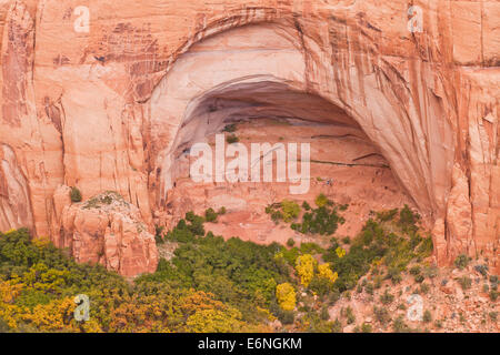 Betatakin ruins in Betatajub Canyon - Navajo National Monument, Arizona USA Stockfoto