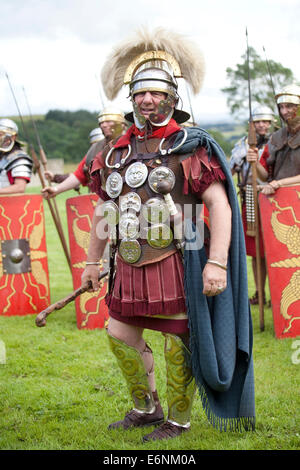 Ein Zenturio und Truppen während einer römischen Re-Enactment-Veranstaltung auf dem Gelände des Römerkastells Vindolanda in Northumberland, England. Stockfoto