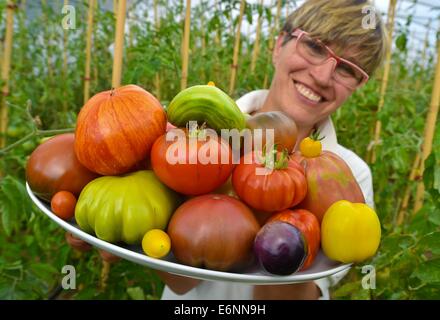 Bornow, Deutschland. 27. August 2014. Benedicta von Branca hält eine Auswahl an Tomaten in ihrem Bauernhof Hof bin Weinberg in Bornow, Deutschland, 27. August 2014. Ihre Kunden rufen sie die Tomate Frau, weil sie 180 verschiedene Sorten von Tomaten wächst. Sie verkauft Tomaten auf den Berliner Wochenmärkten und ihre Internet-Site ist www.tomatenfrau.de. Foto: PATRICK PLEUL/ZB/Dpa/Alamy Live News Stockfoto