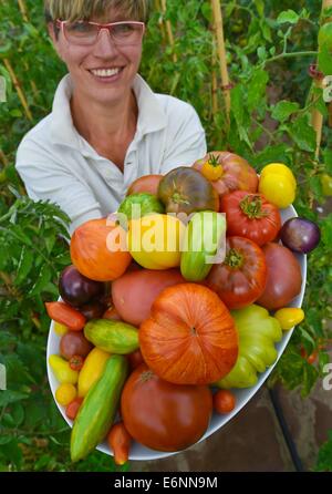 Bornow, Deutschland. 27. August 2014. Benedicta von Branca hält eine Auswahl an Tomaten in ihrem Bauernhof Hof bin Weinberg in Bornow, Deutschland, 27. August 2014. Ihre Kunden rufen sie die Tomate Frau, weil sie 180 verschiedene Sorten von Tomaten wächst. Sie verkauft Tomaten auf den Berliner Wochenmärkten und ihre Internet-Site ist www.tomatenfrau.de. Foto: PATRICK PLEUL/ZB/Dpa/Alamy Live News Stockfoto