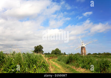 Ein Blick auf Turf Moor Mühle von einem Wanderweg durch Röhricht in der Nähe wie Hill, Ludham, Norfolk, England, Vereinigtes Königreich. Stockfoto