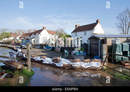 Überschwemmungen auf der Somerset Ebene - die Heimat von Margaret Lock, die in dem Dorf Fordland Februar 2014 überschwemmt wurde Stockfoto