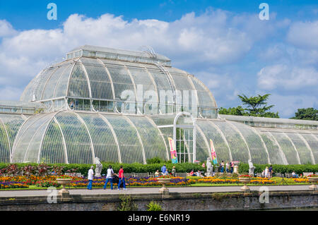 Kew Gardens Palm House Kew Gardens London England UK GB EU Europa Stockfoto