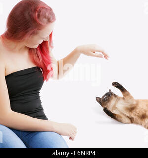 junge Frau mit ihrem siamesische Katze spielen Stockfoto