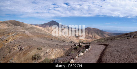 Fuerteventura - Pilgerweg auf der Montana Cardon Stockfoto