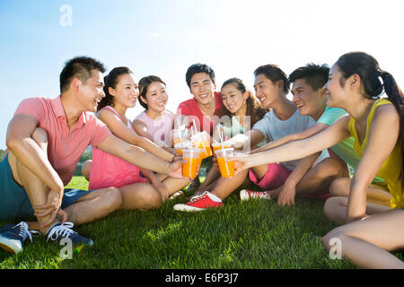 Fröhliche junge Erwachsene Toasten mit Saft auf dem Rasen Stockfoto