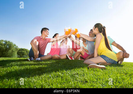 Fröhliche junge Erwachsene Toasten mit Saft auf dem Rasen Stockfoto