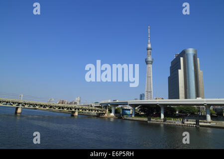 Tokyo Sky Tree mit blauem Himmel, Tokyo, Japan Stockfoto