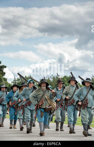 Sir William Pennymans Regiment. Englischer Bürgerkrieg. Royalistische Armee bei einer militärischen Reenactment-Show. UK Stockfoto