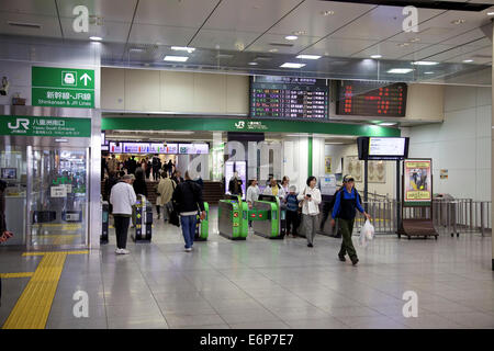 Menschen, Menschenmenge, Pendler, Reisende in Central Railway Station, Tokio, Japan, Asien Stockfoto