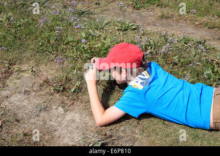 11 Jahre alter Junge fotografierte Wildblumen in Baie de l'Authie, Fort Mahon Plage, Somme, Picardie, Frankreich Stockfoto