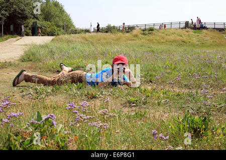 11 Jahre alter Junge fotografieren Meer Lavendel und Wildpflanzen Baie de l'Authie, Fort Mahon Plage, Somme, Picardie, Frankreich Stockfoto