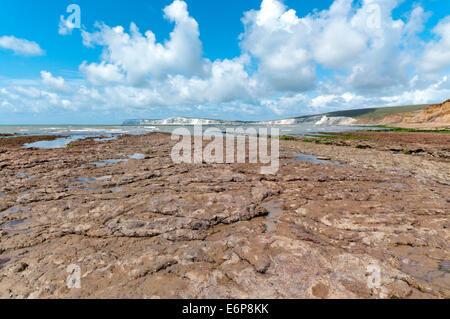 Eine Welle-Schnitt-Plattform bei Brook Bucht an der Südküste der Insel von Wight. Stockfoto