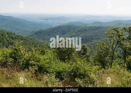 Overlook Mountain Vista aus Buck hohlen, Skyline Drive, Shenandoah-Nationalpark, Virginia Stockfoto