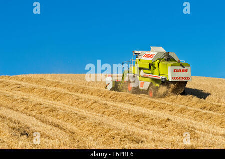 MÄHDRESCHER MÄHEN IN EINER GERSTE FELD-ABERDEENSHIRE-SCHOTTLAND Stockfoto