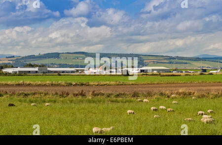 DALCROSS FLUGHAFEN INVERNESS SCHOTTLAND FLUGZEUGEN AUF DEM ROLLFELD UND A MIT SCHAFEN Stockfoto