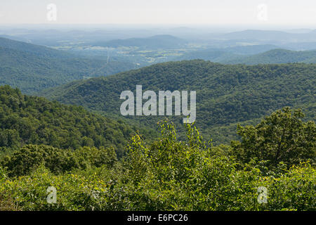 Overlook Mountain Vista aus Buck hohlen, Skyline Drive, Shenandoah-Nationalpark, Virginia Stockfoto