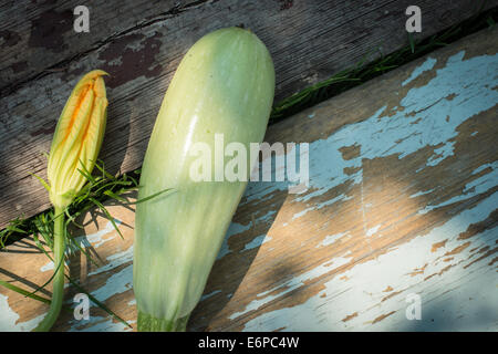 Zucchini mit Blüte auf Holz Stockfoto