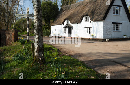 Die winzigen und malerischen Dorf von Winwick in Northamptonshire an einem Frühling Nachmittag. Stockfoto