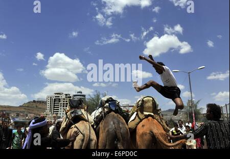 Sanaa, Jemen. 28. August 2014. Ein jemenitischer Mann springt über Kamele während der einwöchigen Sanaa Sommerfest in Sanaa, Jemen, am 28. August 2014. Jemen startete das siebte Sanaa-Sommerfest in der Hauptstadt Sanaa um den Tourismus in dem arabischen Land zu erholen, die politischen Unruhen und tödliche Konflikte seit 2011 gesehen hat. Bildnachweis: Mohammed Mohammed/Xinhua/Alamy Live-Nachrichten Stockfoto