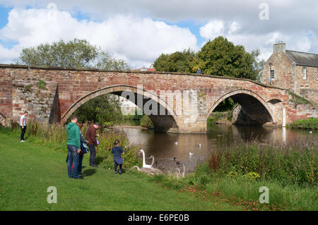 Familie Fütterung Schwäne in der Nähe von Nungate Brücke über den Fluss Tyne, Haddington, East Lothian, Schottland, Europa Stockfoto