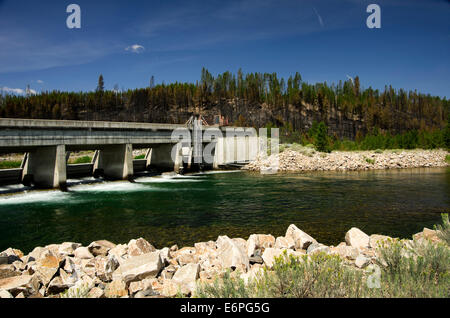 Sägezahn Fish Hatchery Weir Bridge auf Salmon River Stockfoto