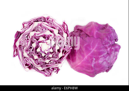 Rotkohl halbieren auf weißem Hintergrund Stockfoto