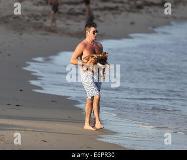 Simon Cowell und Lauren Silverman genießen Sie einige Zeit in Miami Beach mit Neugeborenen Sohn Eric Where: Miami Beach, Florida, USA bei: 23. Februar 2014 Stockfoto